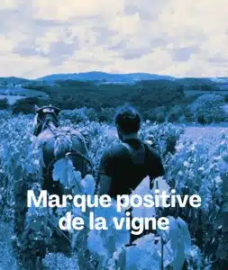 Marque positive de la vigne - J Merle Carré