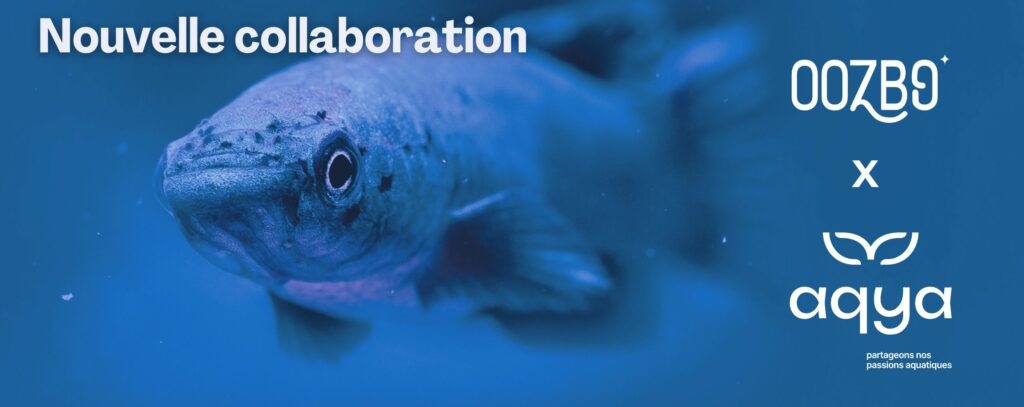 Présentation de la collaboration avec Aqya, nouveau projet lié au vivant aquatique